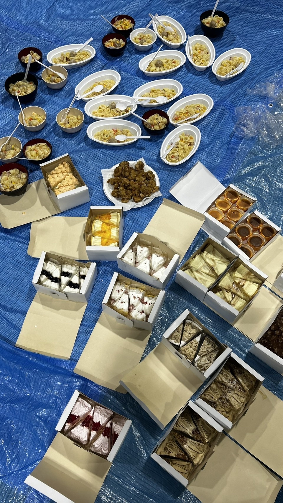 R71225g-volleyball (2)